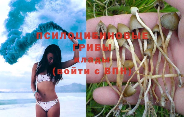 меф Горнозаводск