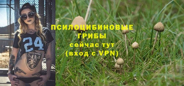 ALPHA-PVP Горняк