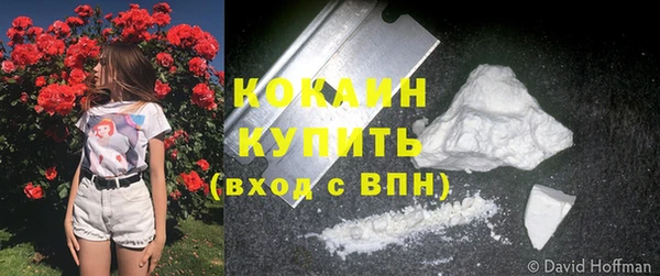 мяу мяу мука Горно-Алтайск
